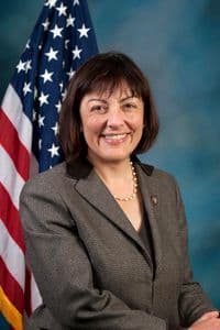 Suzan DelBene, candidate for U.S. House